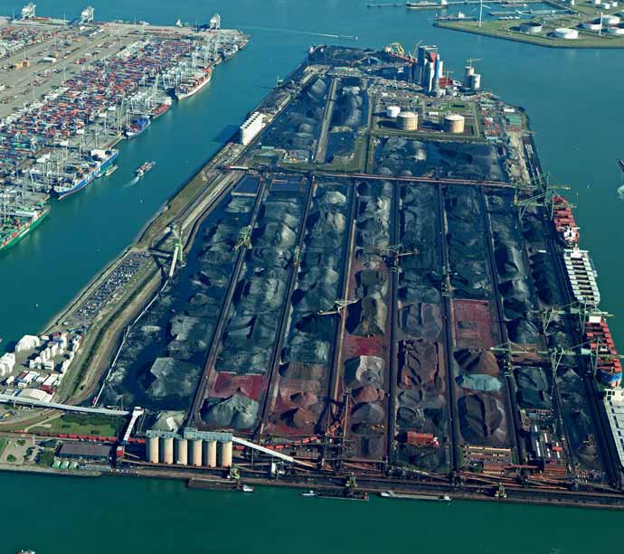 Focus on Rotterdam